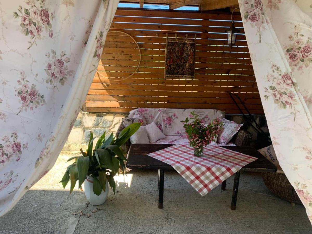 Triglav Edelweiss Guest House Pavel Banya Esterno foto