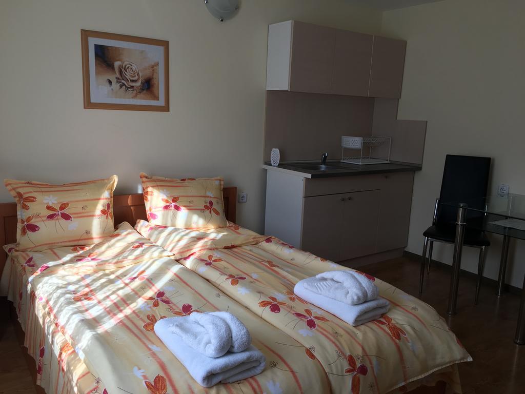 Triglav Edelweiss Guest House Pavel Banya Esterno foto