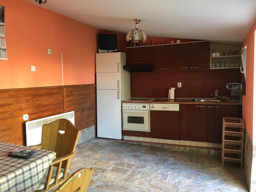 Triglav Edelweiss Guest House Pavel Banya Esterno foto